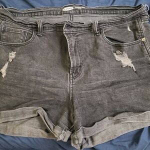 shorts women size 16
